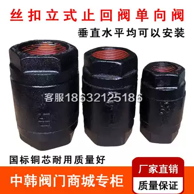 H12T-16 internal threaded check valve copper core stainless steel spring high temperature resistant wire buckle check valve DN25 40 50