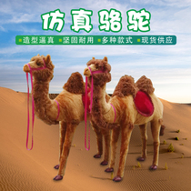 Simulation camel model exhibition children experience teaching photography and other props camel ornaments can be customized animal specimens
