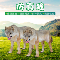 Simulation of wolf model large fur crafts ornaments props leather specimens realistic town house evil spirits manufacturers custom