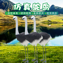 Simulation of ostrich animal model Crafts garden attractions photography props set decoration specimens ornaments