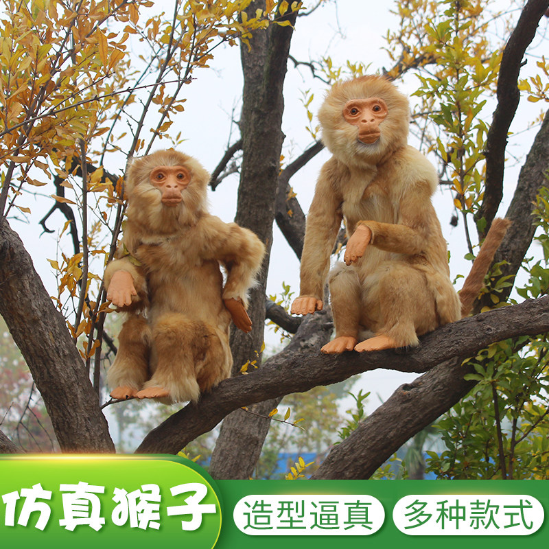 Simulation Monkey Handmade Fur Animal Specimen Teaching Props Model Children Experience Gallery Mall Shop Window Hem