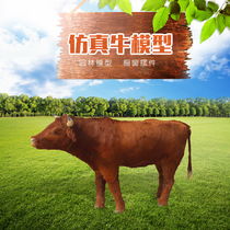 Simulation yak cattle model fur animal ornaments factory stage display props leather handmade animal specimens