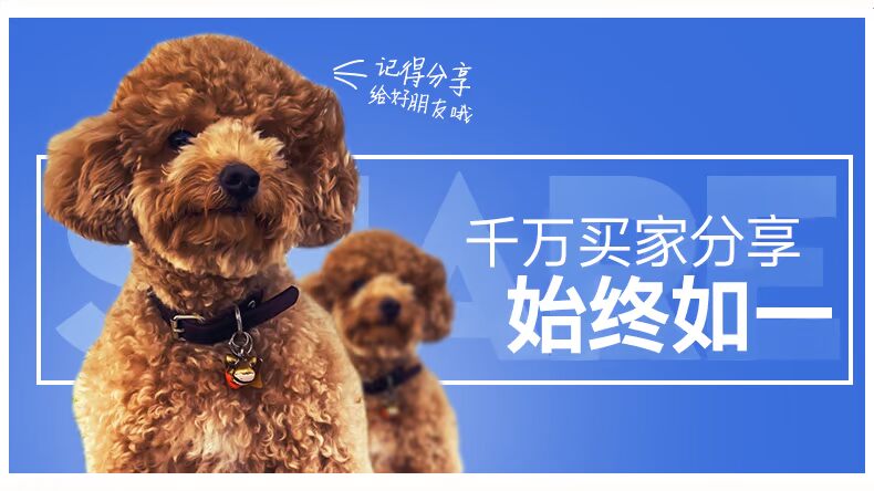 Thức ăn cho chó cún Poly Thú cưng nhỏ thức ăn cho chó Teddy gấu Xiong Bomei thức ăn cho chó Bánh sữa VIP 2,5kg5 kg - Chó Staples thức ăn bổ máu cho chó