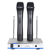 To Win TS-3310HH Wireless Micromic One Drag Two Microphone Home Outdoor Sound Conference Host Dewin