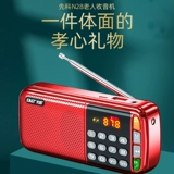 SAST/first n28 radio   s s s s s s s s s s s ル ル ル ル ル ル ル ル s s s s s s s