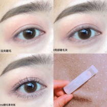 (Three have super-warped eyelashes) easily clip out the sunflower Fangling local eyelash curlers