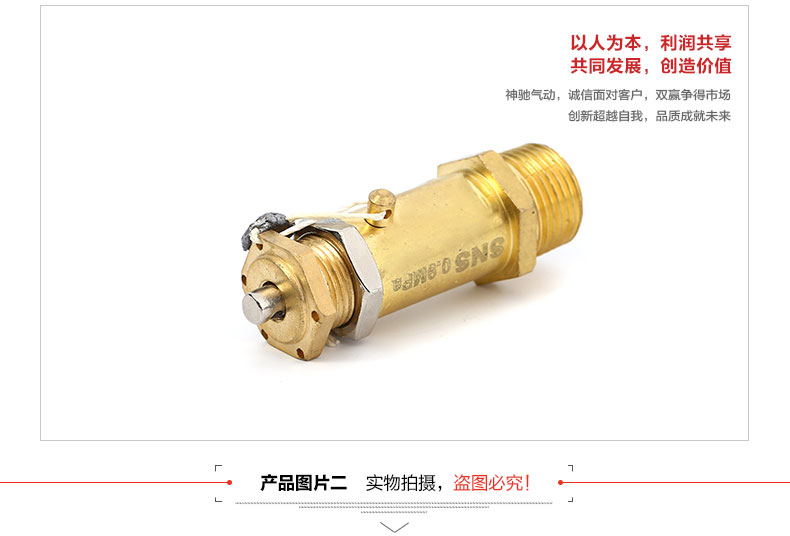 SNS Shenchi Dụng cụ khí nén Van an toàn Van giảm áp tác động trực tiếp Dòng BV đầy đủ - Công cụ điện khí nén đầu nén khí mini