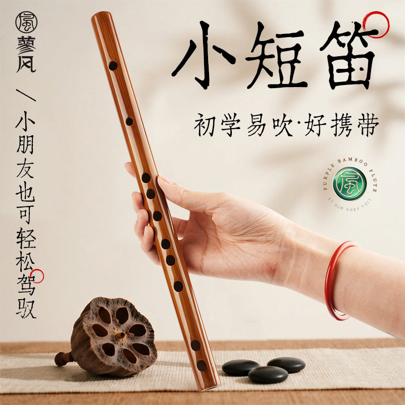 竹笛儿童迷你素笛G调f初学者入门笛子乐器e小学生短笛d成人横笛c