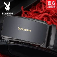 Ремень, стиль, J8201011