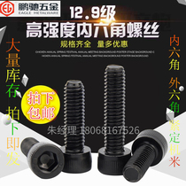 Pengchi hardware full tooth M5 EGM12 9 grade hexagon screw *6 8 10 12 14 16 18 20 22