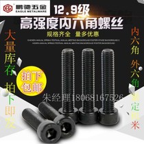 Pengchi hardware half tooth M10 EGM12 grade 9 inner hexagon screw *45 50 55 60 65 70 75 80
