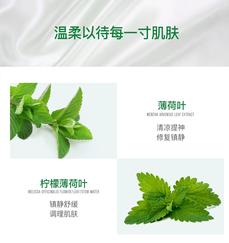 Hàn Quốc AbyBOM Super Baby Ice Condensed Leaf Moisturising Lotion Mask - Mặt nạ