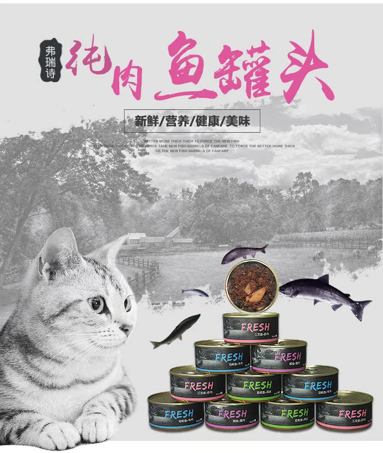 天猫罐头_01.jpg