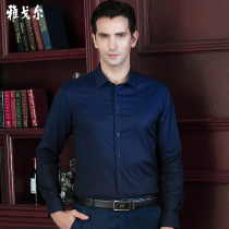 Youngor shirt mens long-sleeved spring business casual wild youth Blue slim-fit micro-elastic free ironing mens shirt