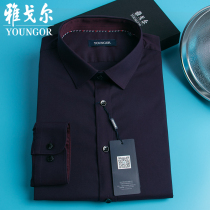 Yagal shirt male long sleeve bronzed shirt on all sides oxford spun purple for business casual spring lining man