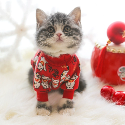 Праздничнная флисовая толстовка, красная удерживающая тепло куртка, на удачу