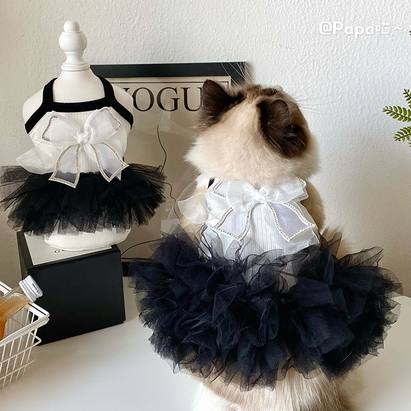 猫咪狗狗小香风吊带裙宠物春夏仙女衣服芭蕾舞蓬蓬裙泰迪比熊布偶