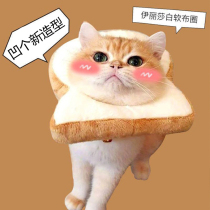 Cat new universal collar toast bread headgear peach anti-licking collar cat net red jewelry photo