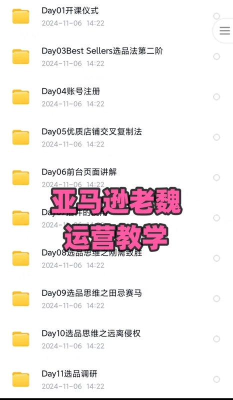 Amazon Cross-Border E-Commerce Course Complete Set of Yingshanghui Lao Wei's 3-Month Incubation Camp Theory and Practice High-Definition Video