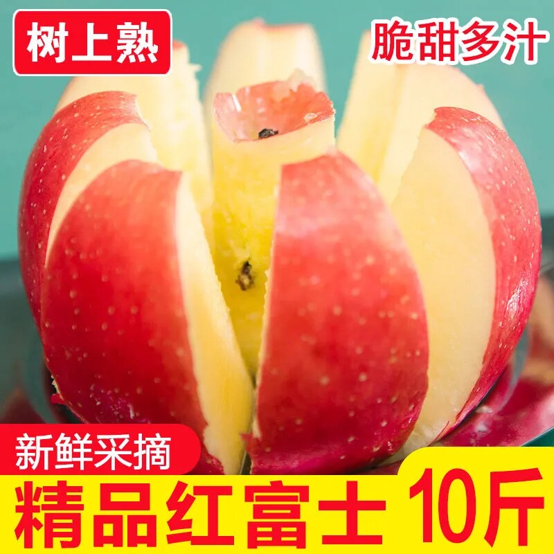 10 Jin rock sugar heart Apple Shanxi Yuncheng red Fuji apple fruit seasonal fresh