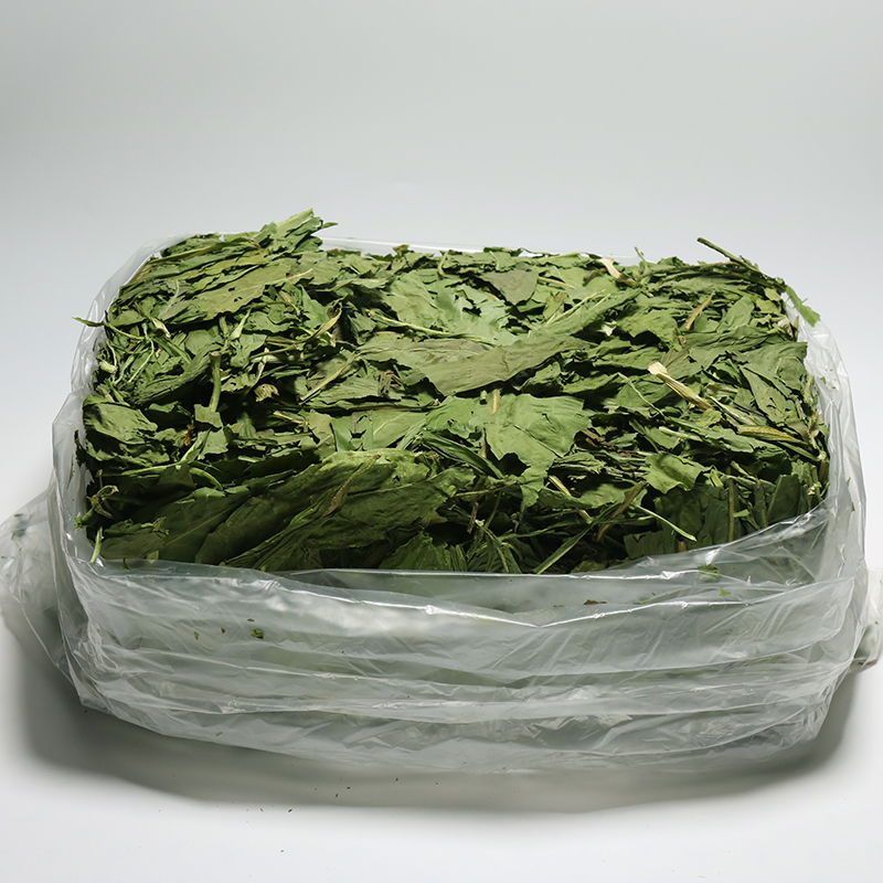 22 Years Drying Chicory New Grass Rabbit Dragon Cat Alpaca Goat Rump Grass Nutrition Gain and Diminish Inflammation and Urine Net Weight Gain