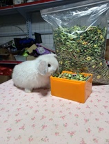 Pet Nutrient Rabbit Grain Rabbit Feed Mix Drying Barley Grass Section Grinders Zero Food Multidimensional Merino Anti Cocet 5 Cati