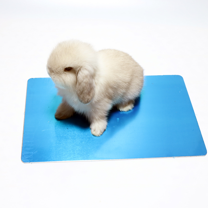 Cool cooling plate rabbit chinchilla guinea pig cooling plate pet summer aluminum alloy ice box foot pad supplies