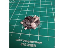 Gloomhaven rubble of the dark harbor   Shadhabi tribe