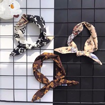 Homemade pooch kittens Cat Silk Scarf Snownery teddy Bears Bears BombBeauty scarves with a picture of a real dog ornament