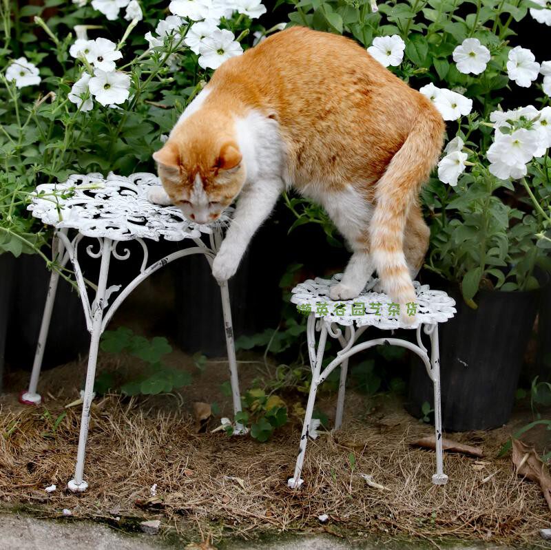 Outdoor gardening grocery cast iron pot frame flowerhouse hollow French vintage old roll grain iron group