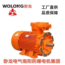 Wolong Electric Nanyang Explosion-proof Group high-efficiency high-pressure underground coal mine marine explosion-proof motor YBFBEKX345