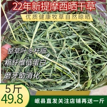 22 years of sun-dried Timothy Northwest Ti rabbit grinding teeth totoro food high-quality pastoral grassland production area direct sales of 5 cats