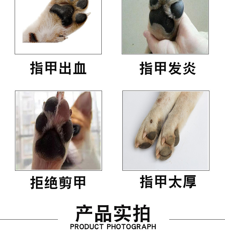 Pet cắt móng tay kéo chó mèo nói chung thép không gỉ kéo móng tay với trowel mài móng tay làm đẹp - Cat / Dog Beauty & Cleaning Supplies lược chải ve chó