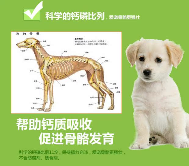 Thức ăn cho chó Maiton Hương sữa Jindian phổ biến chó con nhập khẩu nguyên liệu tự nhiên hạt vừa và lớn thức ăn đặc biệt 500g - Gói Singular royal canin kitten