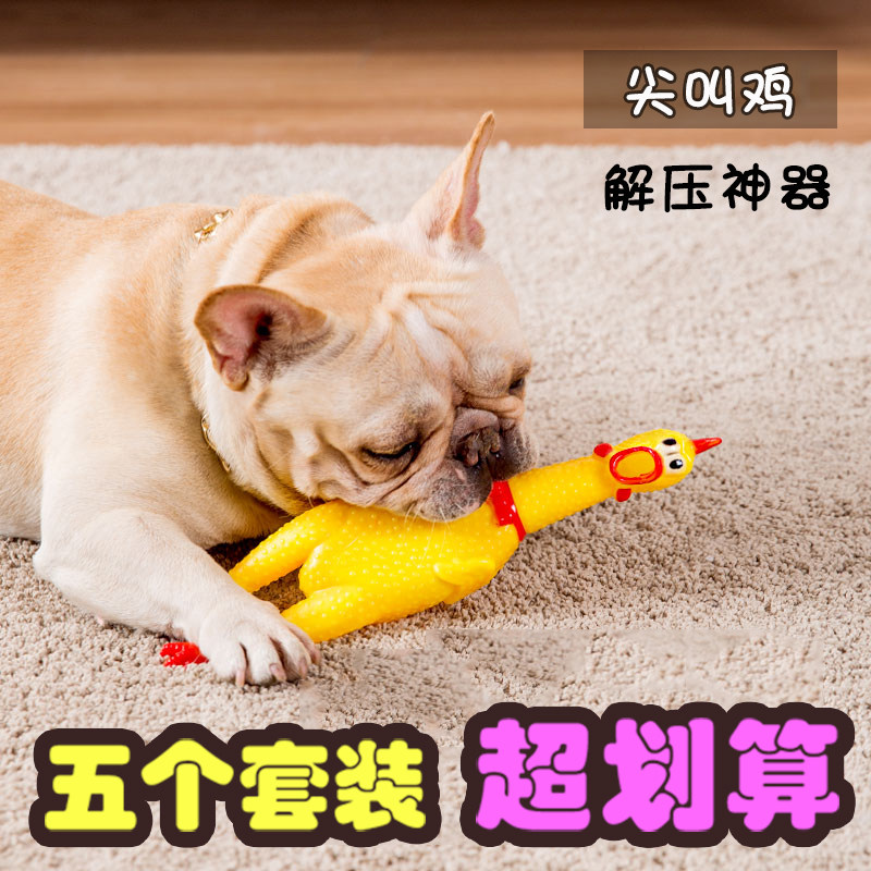 25 Provinces desperate fighter chicken machine screams chicken pet dog sounding toy to make dog poodle molar