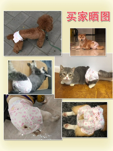 Домашние тетушки для мальчика для мальчика собака физиологические штаны женская моча брюки мужчина собака менструальные штаны