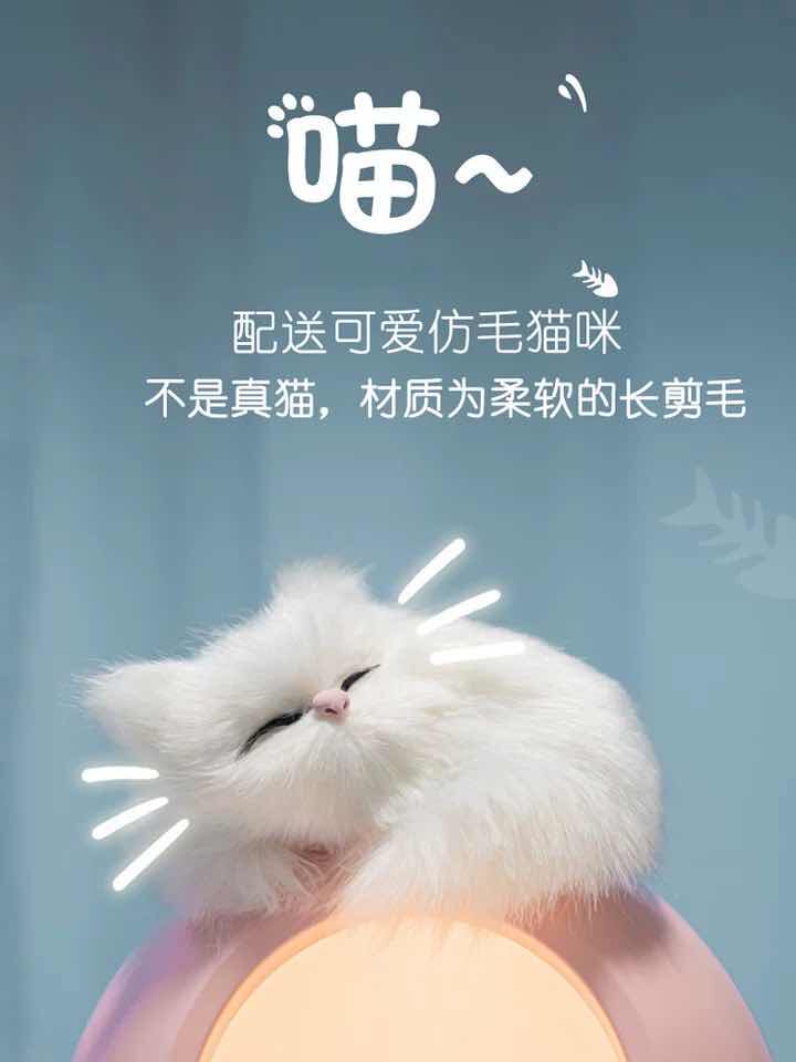 520 Valentine's Day gifts for girlfriends and friends