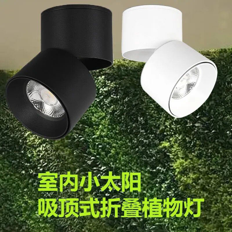 Plant fill light, punch-free growth spotlight, household indoor photosynthesis full spectrum LED downlight imitating the sun
