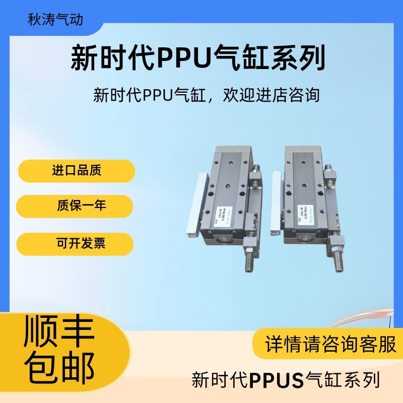 Nok/New-Era Sliding Table Cylinder Ppu-Gt12/Sd12-45-Tp/Ppus-Sd12-45-Tpqr/Qt