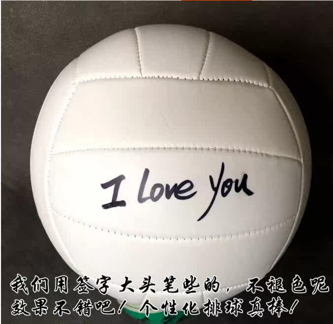 Ballon de volley-ball - Ref 2012822 Image 6