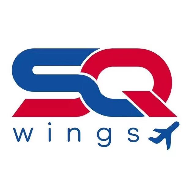 SQ战斗机模型