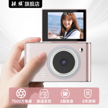 Ruizu R6 Digital Camera, Student-Friendly Mirrorless Model, Can Take Selfies, Entry-Level for Girls, Alternative to Ccd, High-Definition for Campus and Travel
