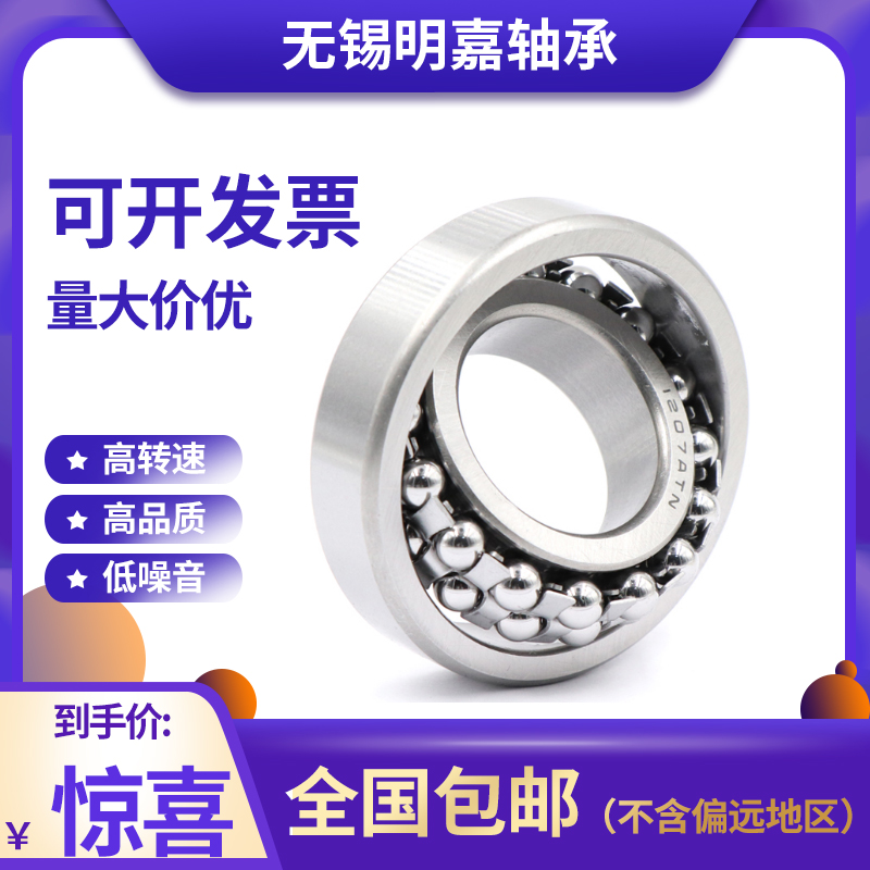 Double row intune ball bearing 1300 1301 1301 1303 1303 1304 1305 1306 1307 1308K