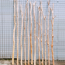 Natural solid wood dry branches dead wood log homestay living room hotel kindergarten ring create partition screen tree trunk decoration