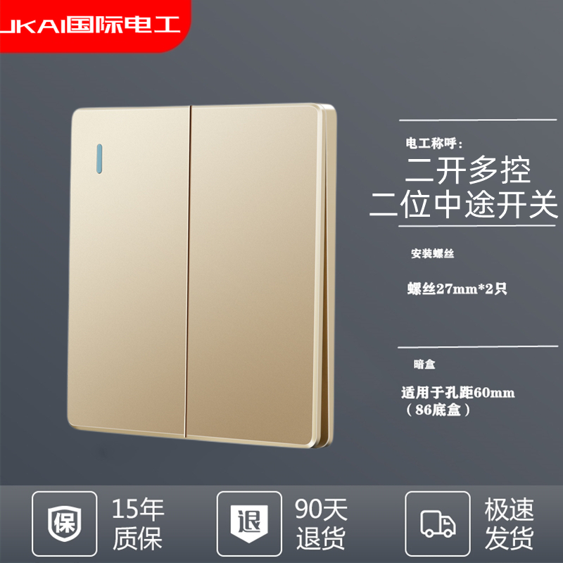 International Electrotechnical Champagne Gold Wall Switch Panel Two-Switch Interlocks Interlocks Switch