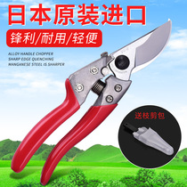 Japan Alice ARSVS-8XZ9XZ pruning shears garden scissors hand scissors hand scissors original imported gardening scissors