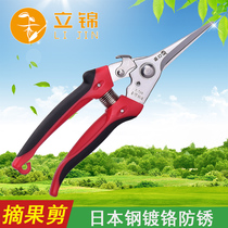 Li Jin fruit picking and cutting straight head long blade pruning cut fruit tree branch cutting flower cutting tree cutting flower cutting cutting fruit tree cutting cutting branch T719