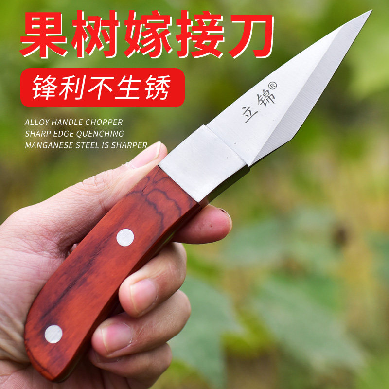 Upright Brocade Fruit Tree Sapwood Flower Grafting Tool Professional Graft Knife Special-type tree special knife bud pick up knife cut wood knife