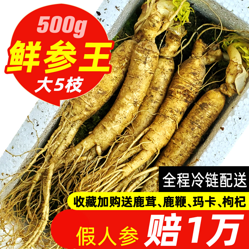 Fresh ginseng Changbai mountain wild ginseng Jilin northeast ginseng under forest White ginseng sparkling wine soup fresh ginseng King xian can