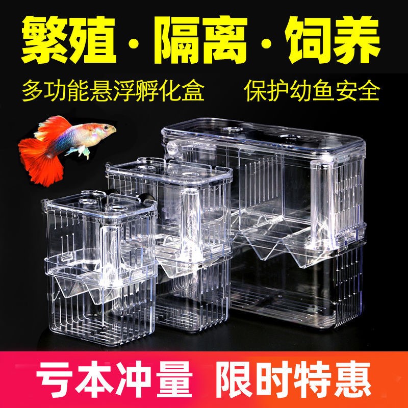 Fish tank isolation box Peacock fish propagation box theorizer small fry hatching mother fish acrylic young fish anchovies incl.